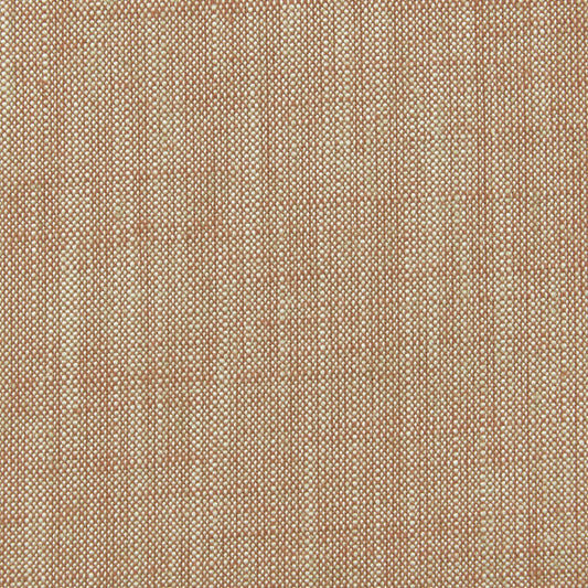 CLARKE AND CLARKE BIARRITZ CINNAMON