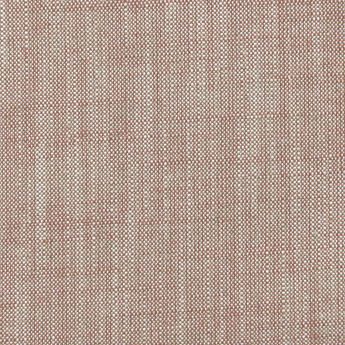 CLARKE AND CLARKE BIARRITZ GERANIUM