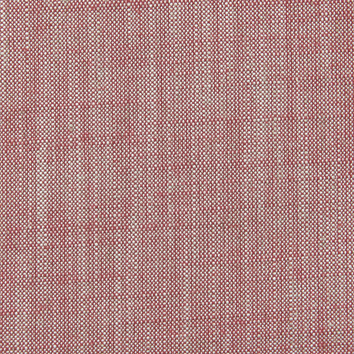 CLARKE AND CLARKE BIARRITZ RASPBERRY