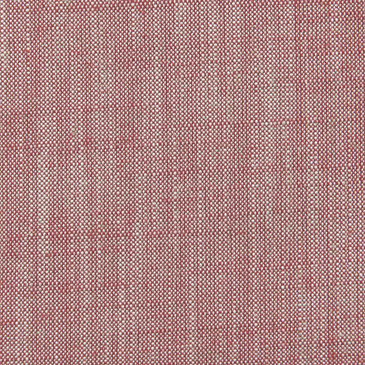 CLARKE AND CLARKE BIARRITZ RASPBERRY