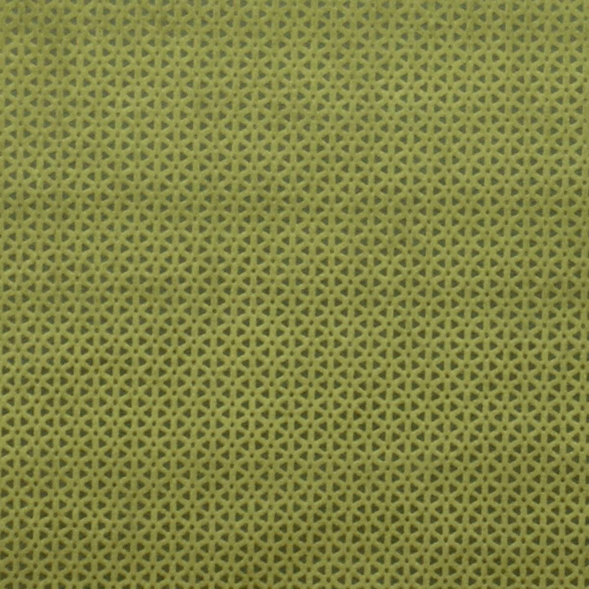 CLARKE AND CLARKE LORETO OLIVE