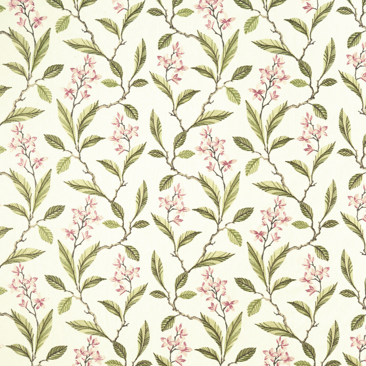 CLARKE AND CLARKE MELROSE PINK/APPLE