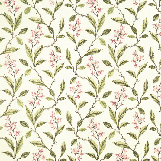 CLARKE AND CLARKE MELROSE PINK/APPLE