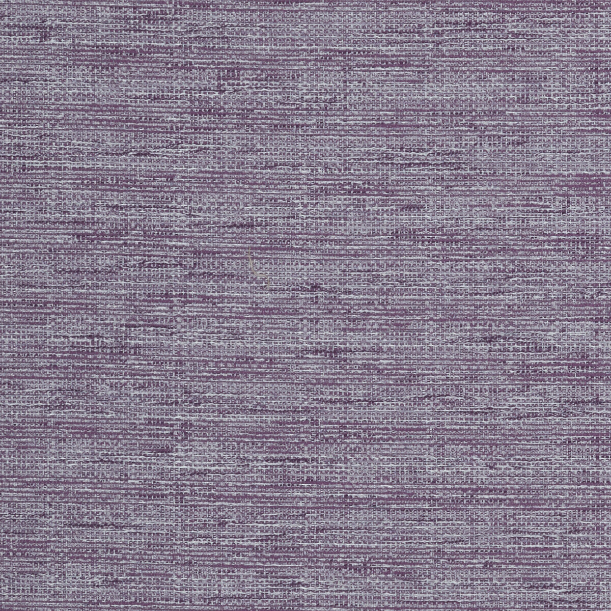 CLARKE AND CLARKE ALDO VIOLET