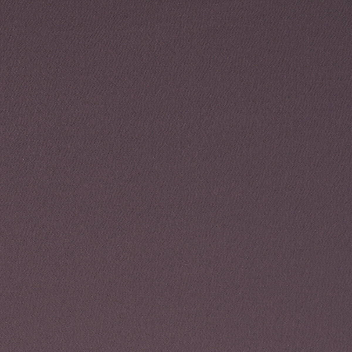 CLARKE AND CLARKE SPECTRUM DAMSON