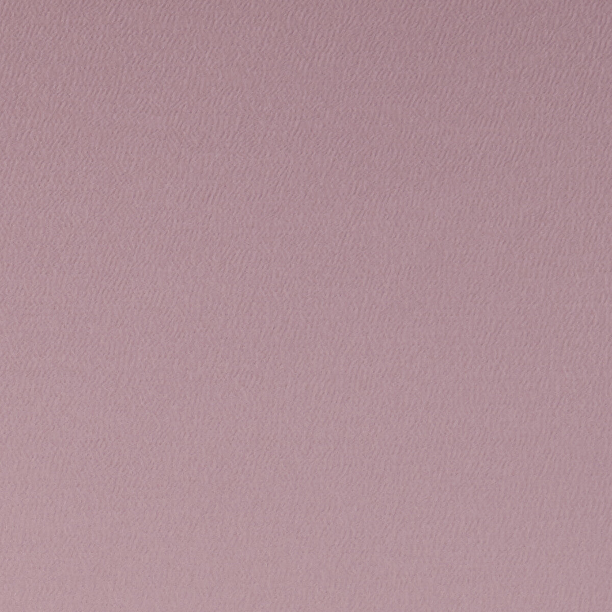 CLARKE AND CLARKE SPECTRUM ROSE