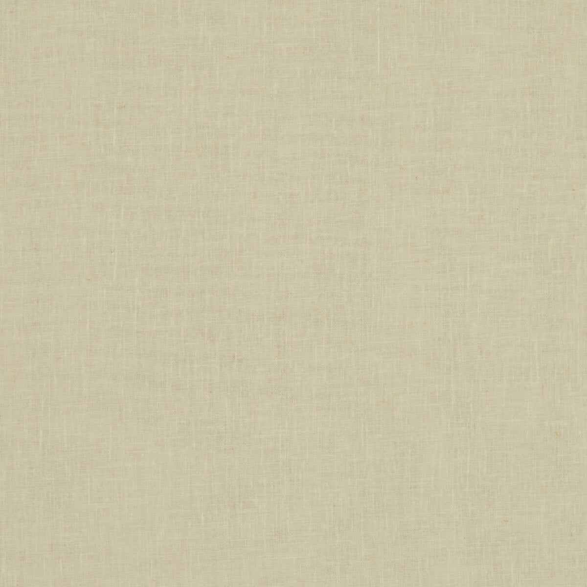 CLARKE AND CLARKE MIDORI BAMBOO