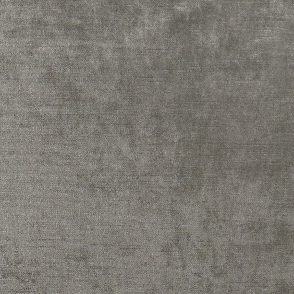 CLARKE AND CLARKE ALLURE ASH