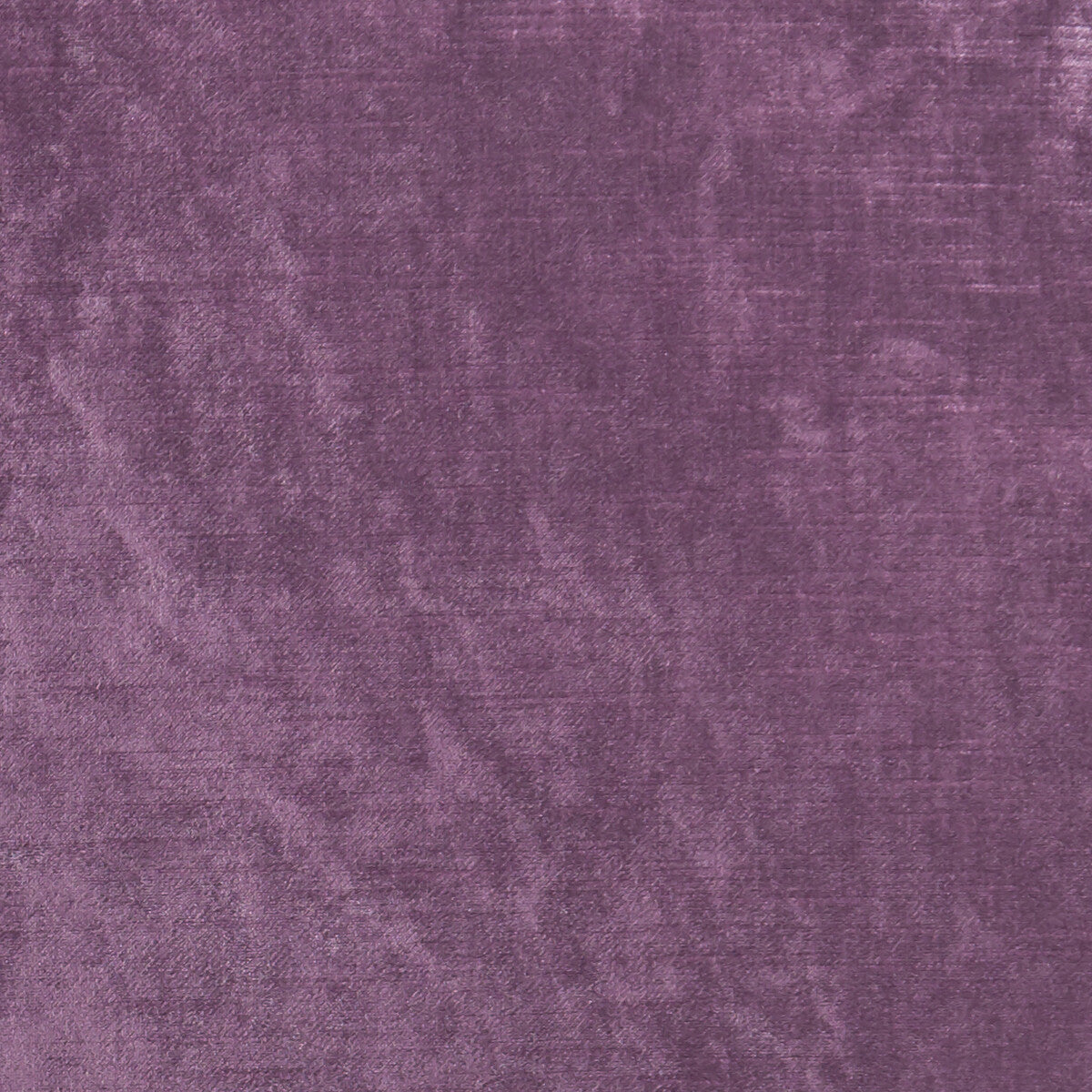 CLARKE AND CLARKE ALLURE BERRY