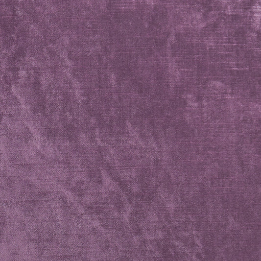 CLARKE AND CLARKE ALLURE BERRY