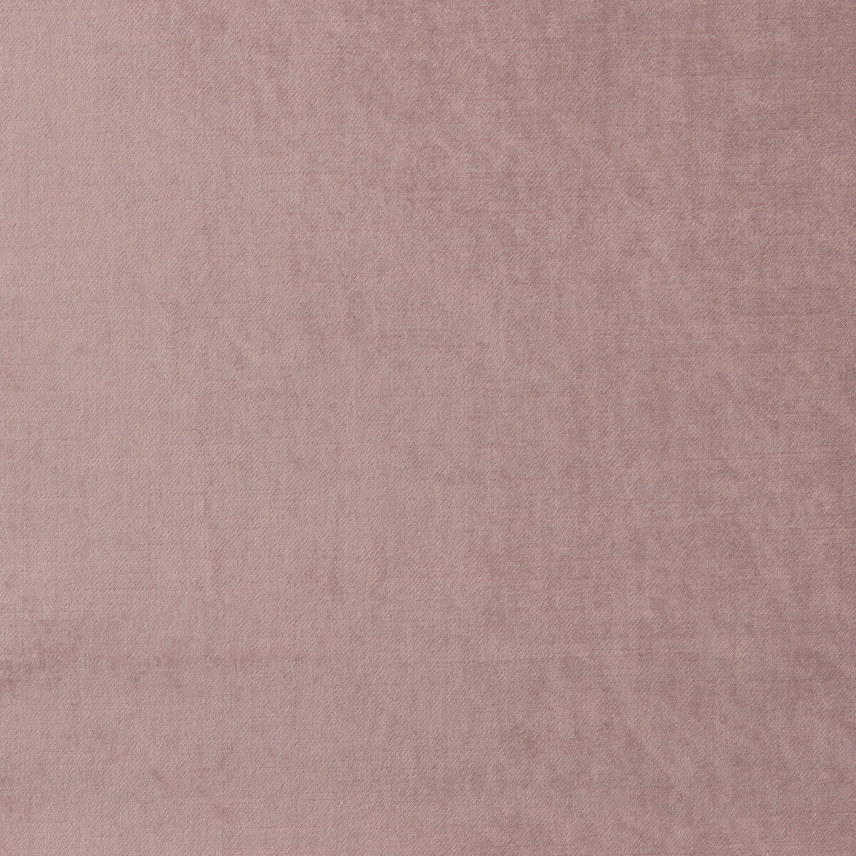 CLARKE AND CLARKE ALLURE BLUSH