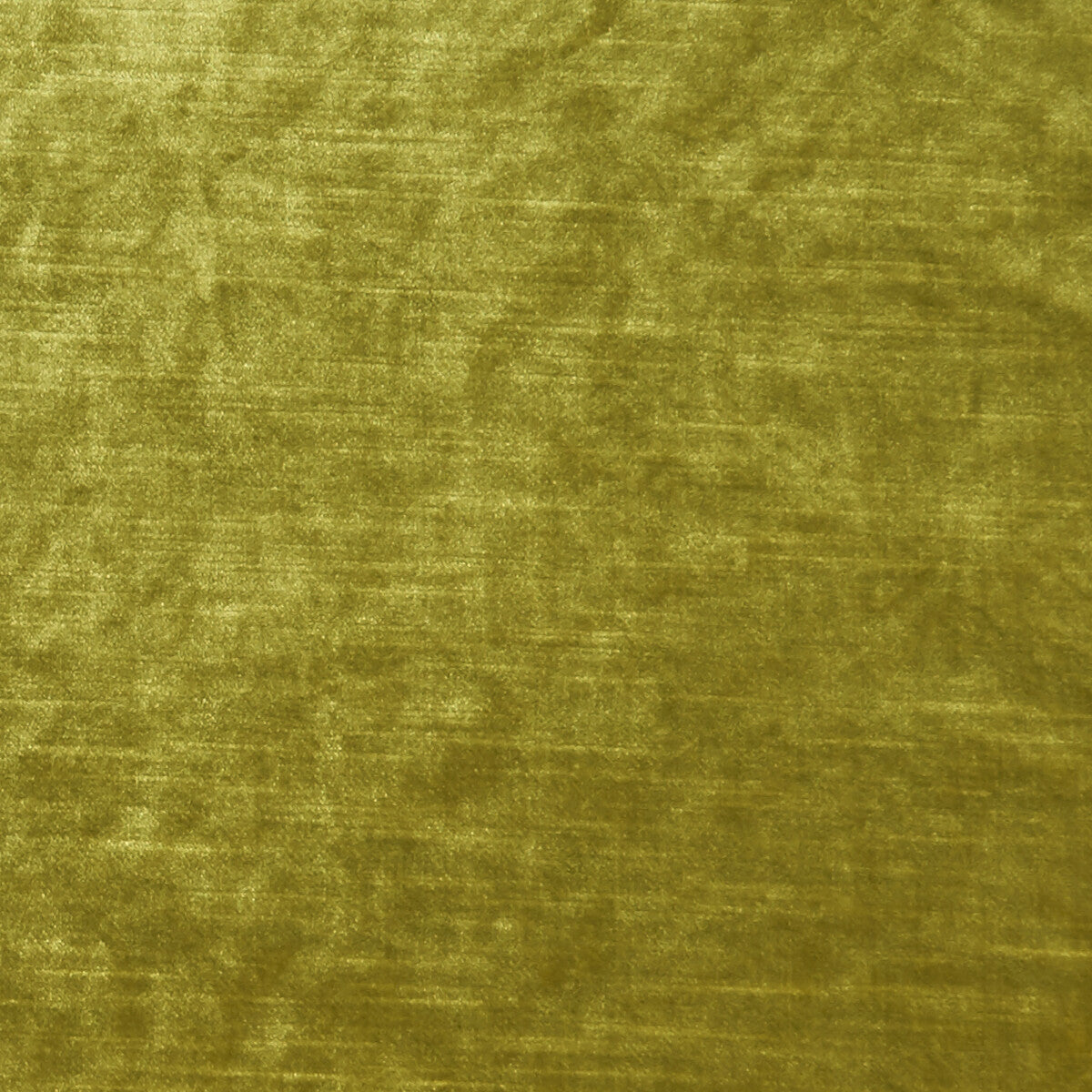 CLARKE AND CLARKE ALLURE CHARTREUSE