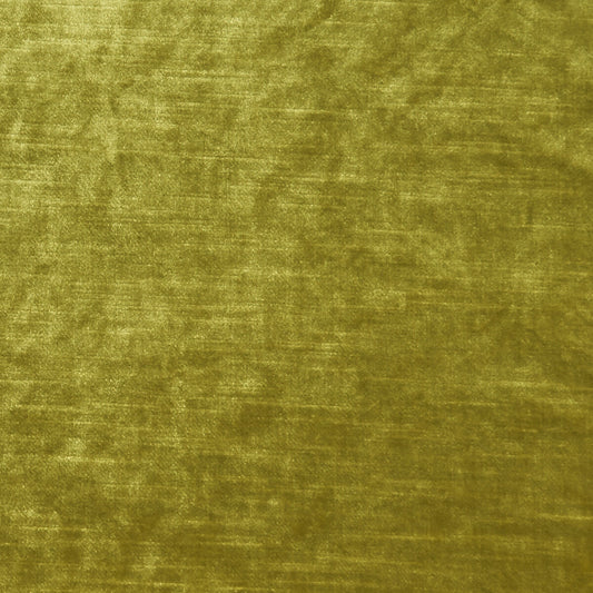 CLARKE AND CLARKE ALLURE CHARTREUSE