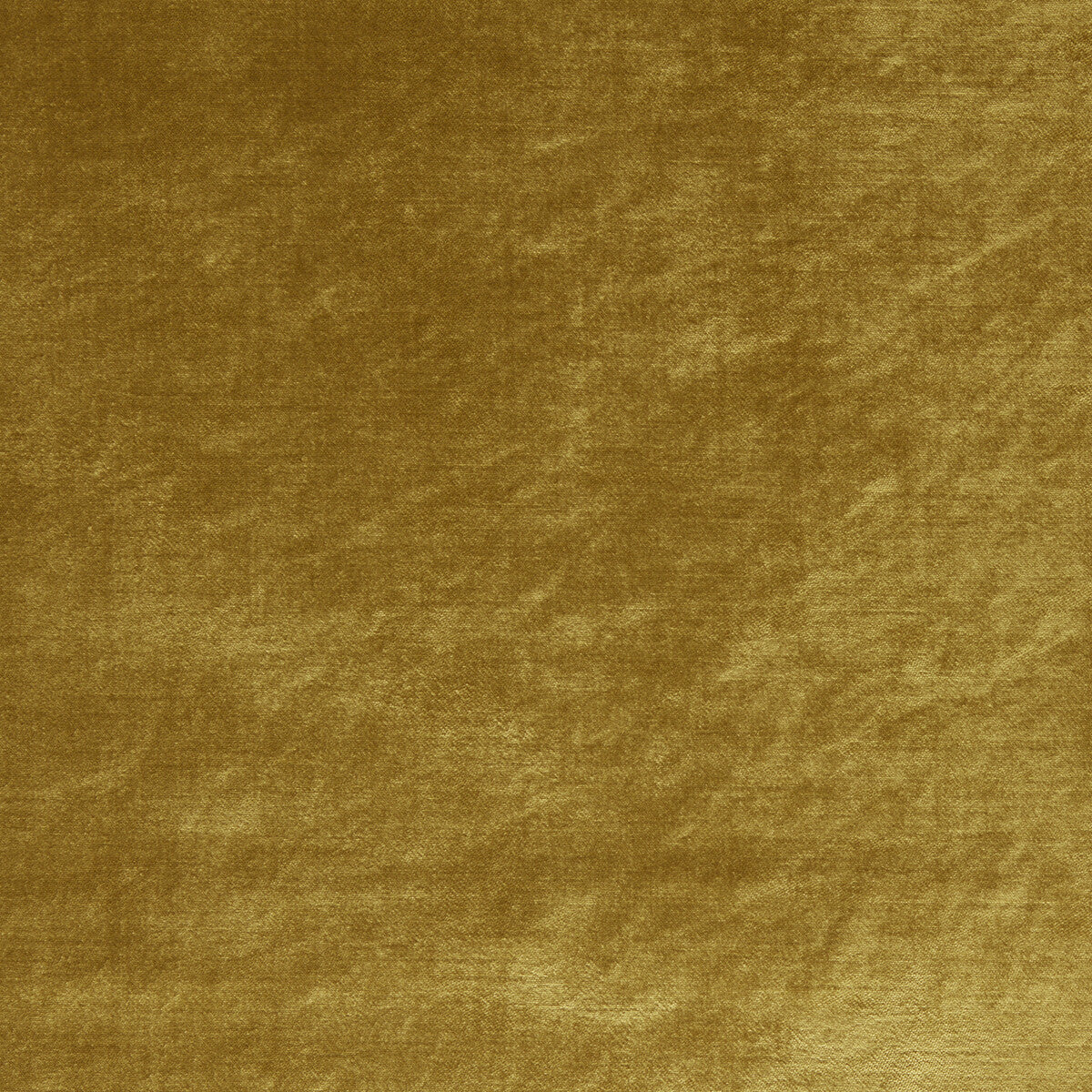 CLARKE AND CLARKE ALLURE GOLD