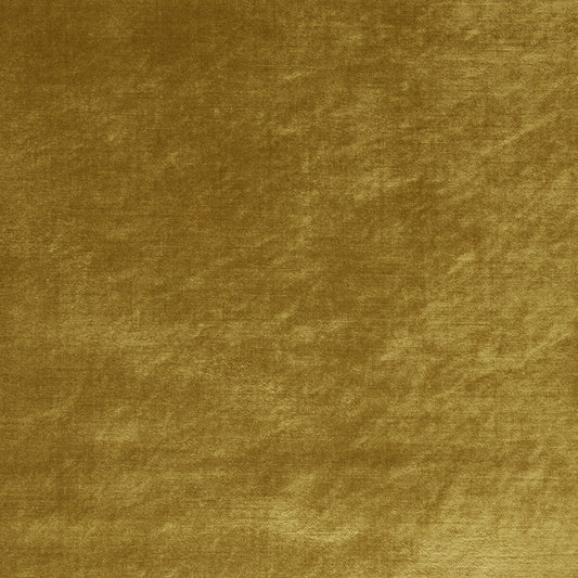 CLARKE AND CLARKE ALLURE GOLD