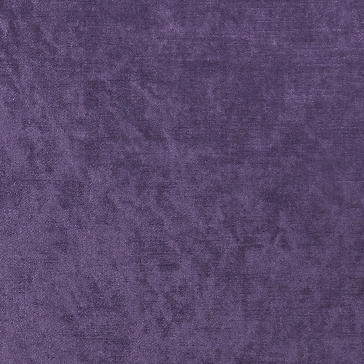 CLARKE AND CLARKE ALLURE GRAPE