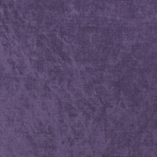 CLARKE AND CLARKE ALLURE GRAPE