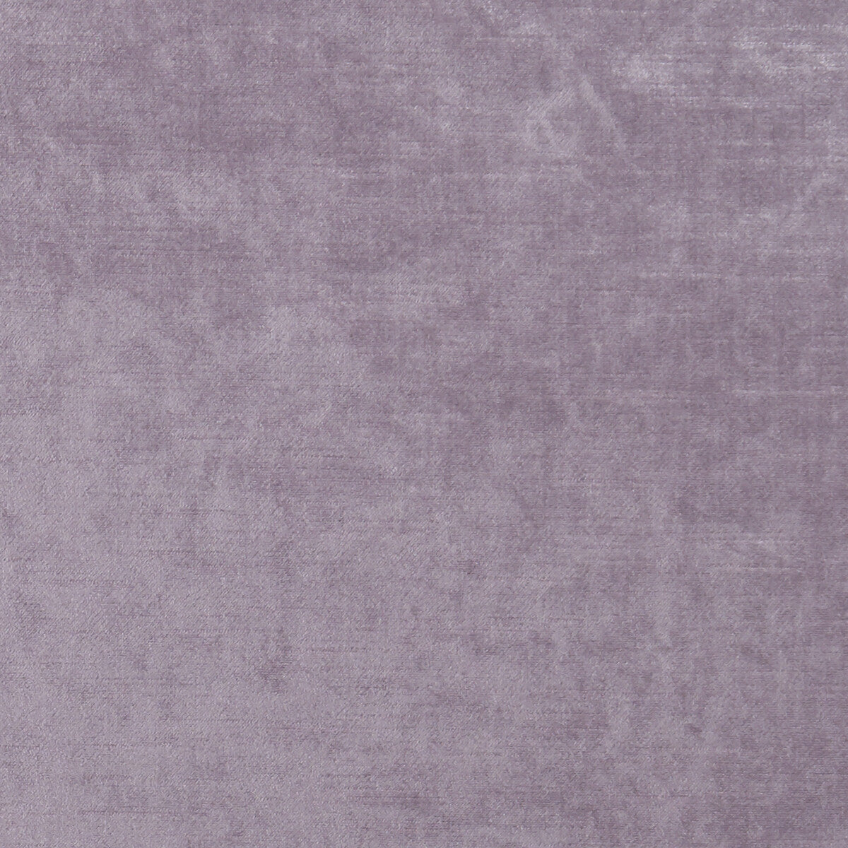 CLARKE AND CLARKE ALLURE HEATHER