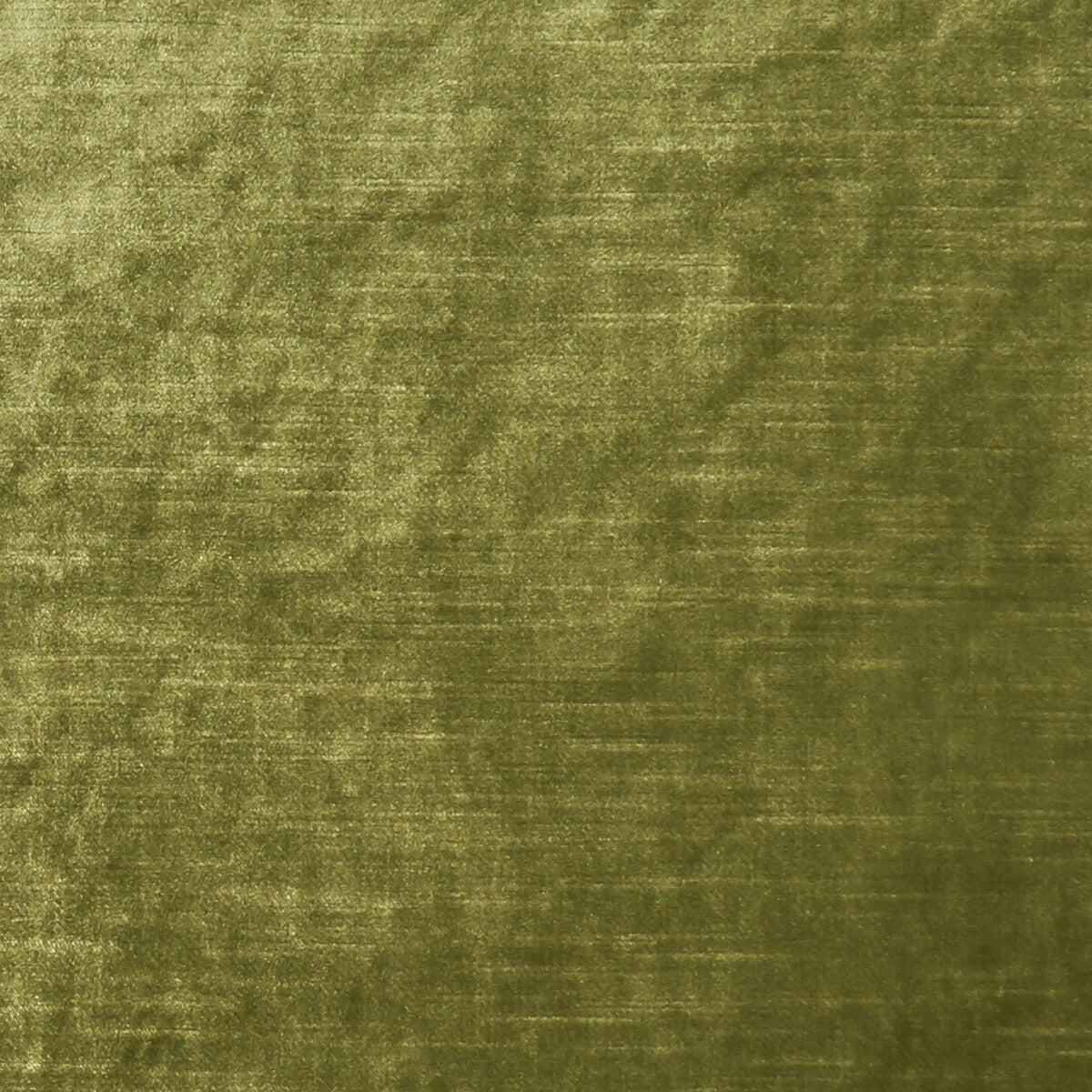 CLARKE AND CLARKE ALLURE MOSS