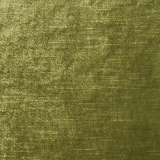 CLARKE AND CLARKE ALLURE MOSS