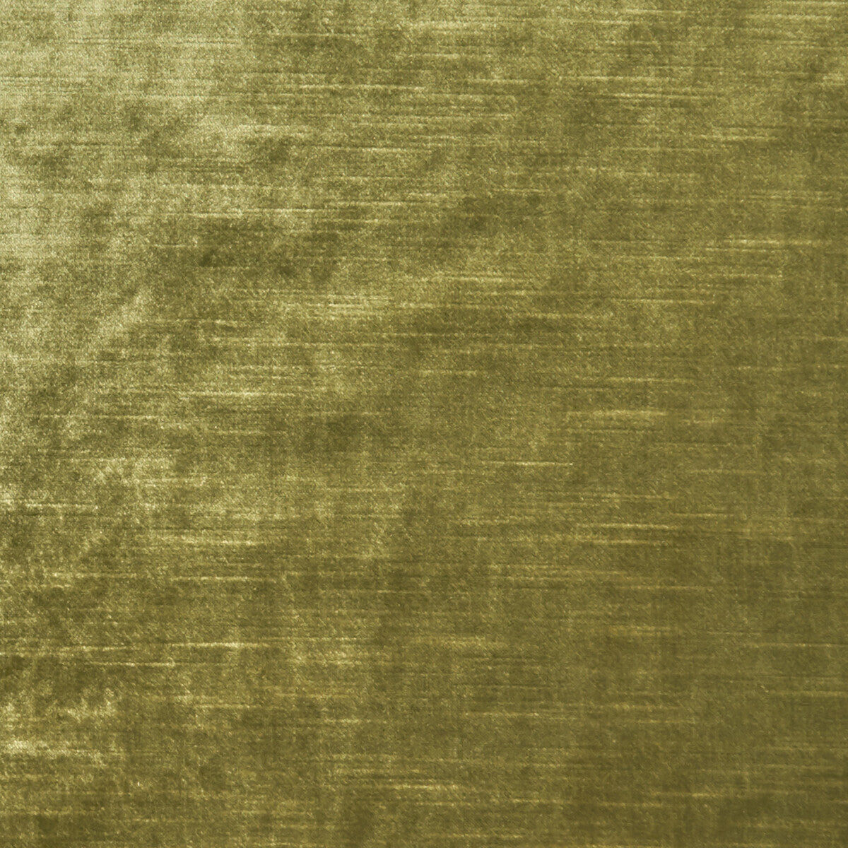 CLARKE AND CLARKE ALLURE OLIVE