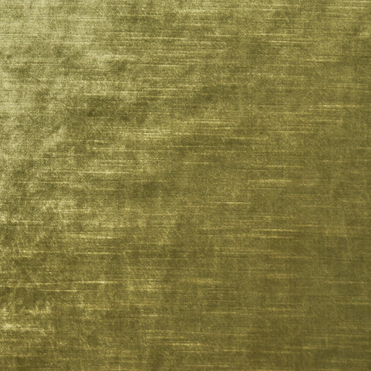 CLARKE AND CLARKE ALLURE OLIVE