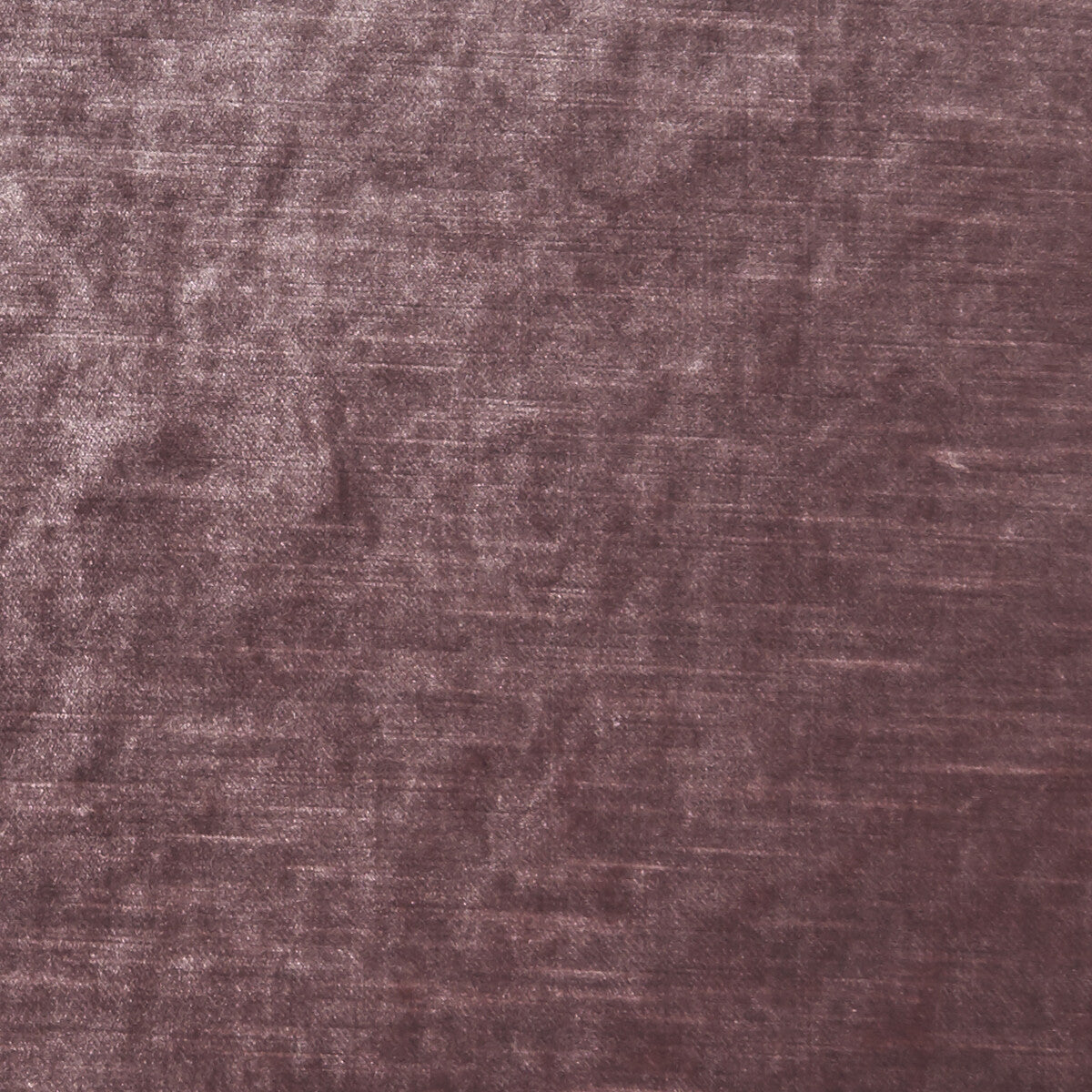 CLARKE AND CLARKE ALLURE ROSEWOOD