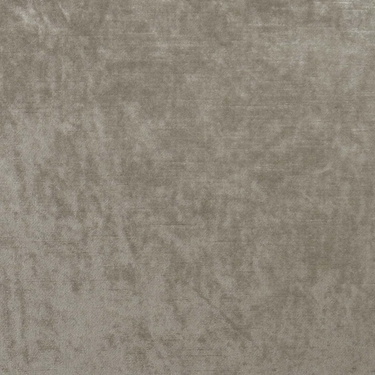 CLARKE AND CLARKE ALLURE TAUPE