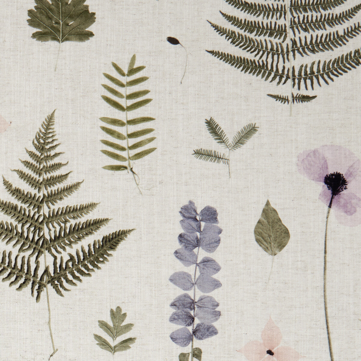 CLARKE AND CLARKE HERBARIUM BLUSH/NATURAL