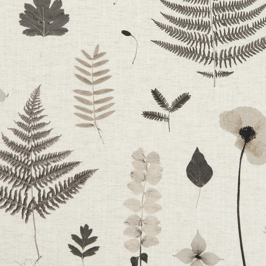 CLARKE AND CLARKE HERBARIUM CHARCOAL/NATURAL