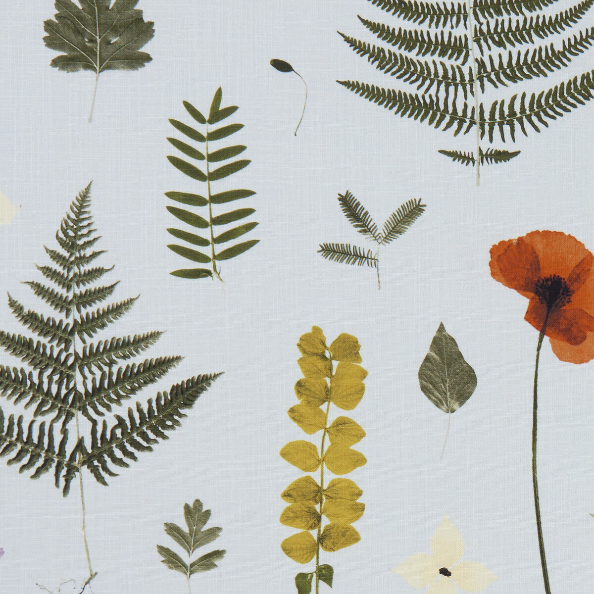 CLARKE AND CLARKE HERBARIUM MINERAL