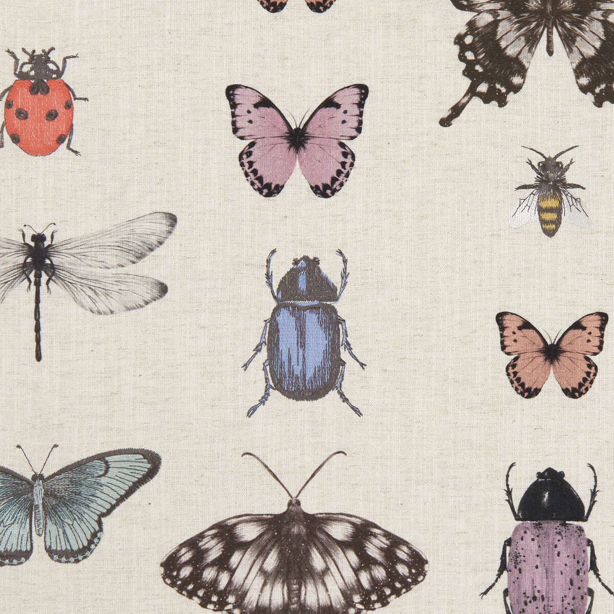 CLARKE AND CLARKE PAPILIO BLUSH/NATURAL