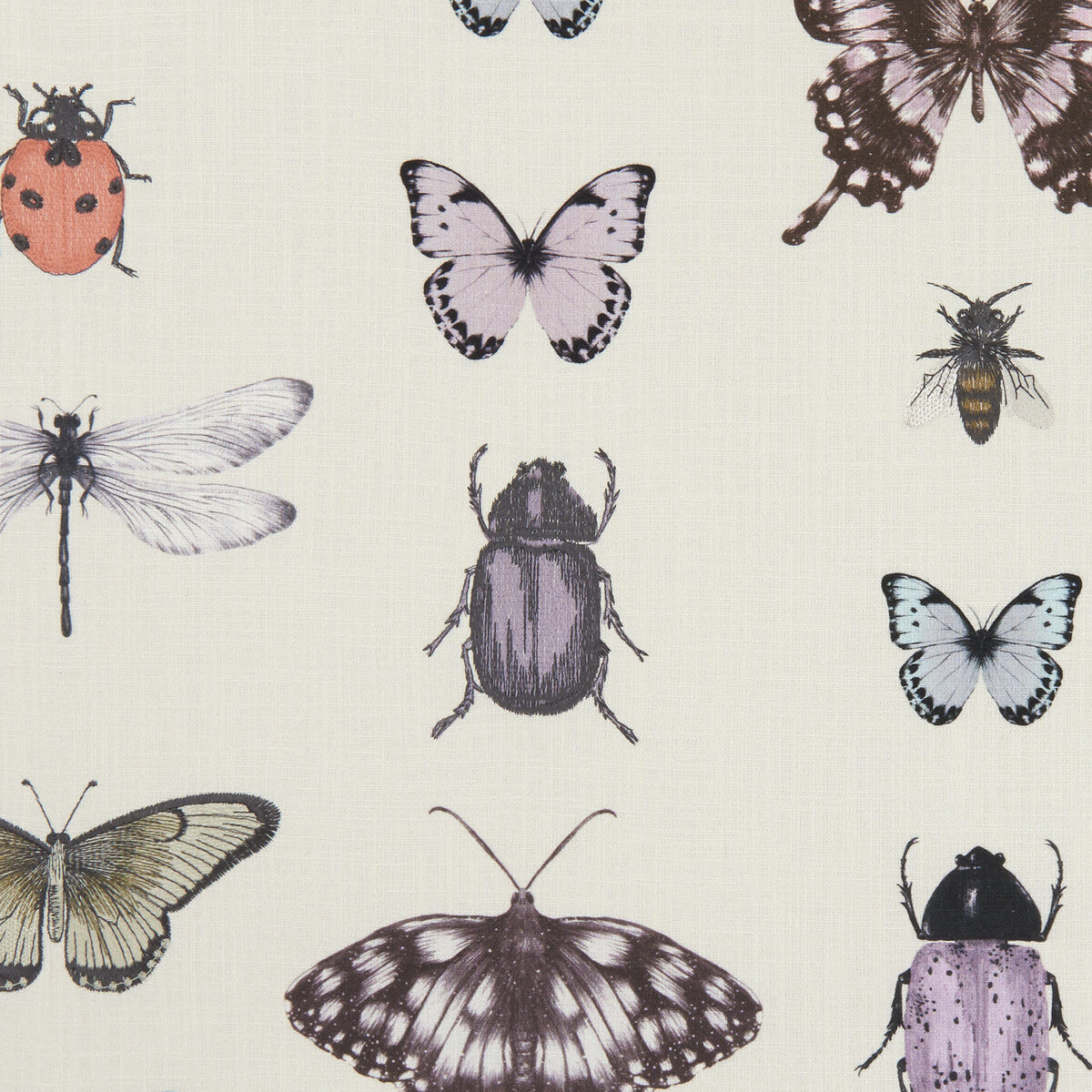 CLARKE AND CLARKE PAPILIO HEATHER/IVORY