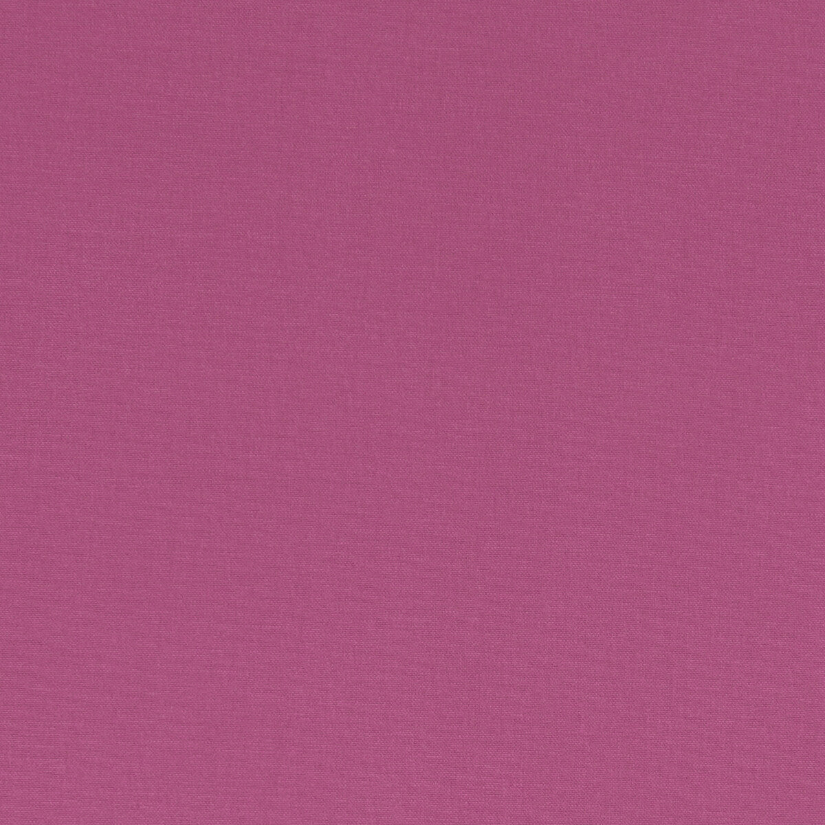 CLARKE AND CLARKE ALORA FUCHSIA