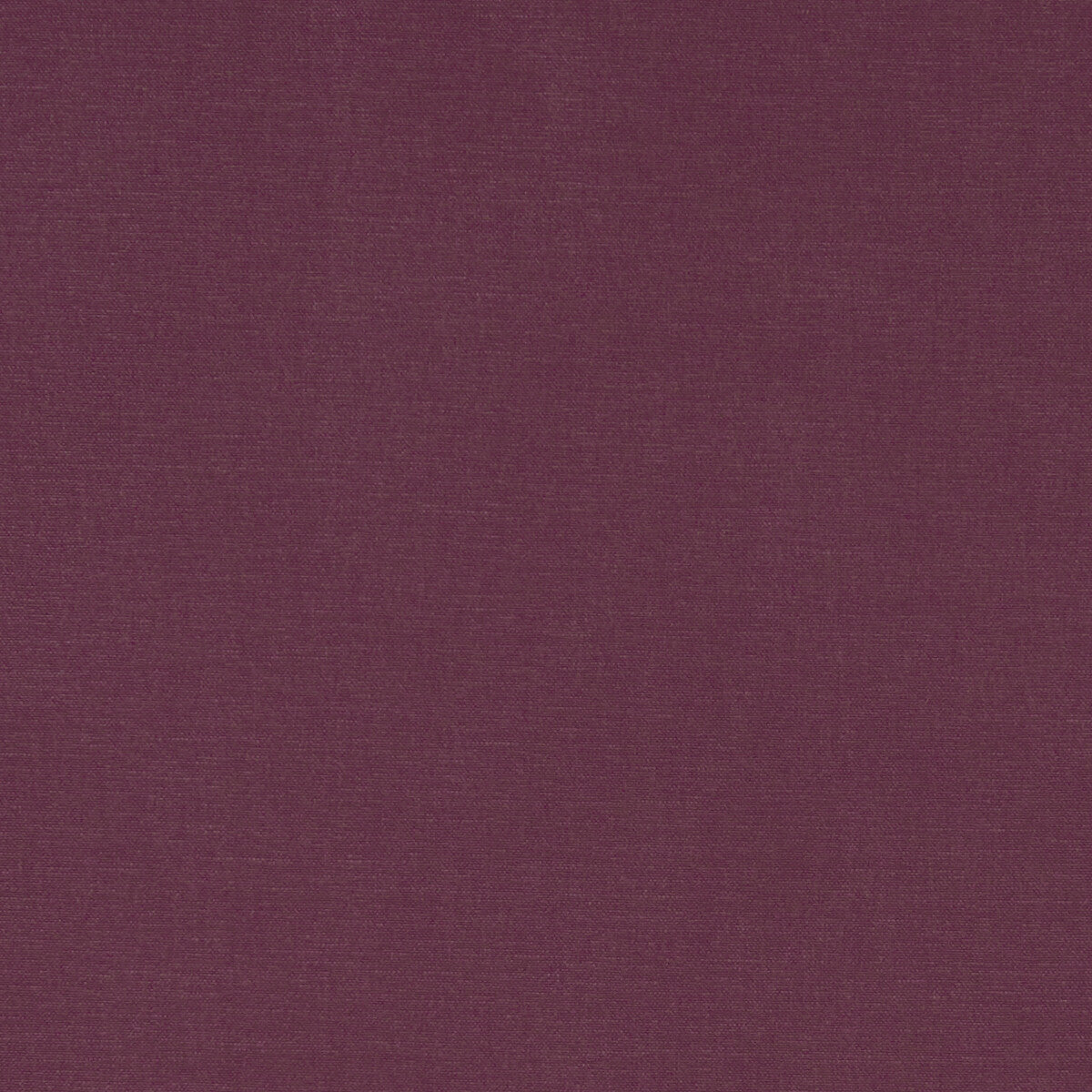 CLARKE AND CLARKE ALORA GRAPE