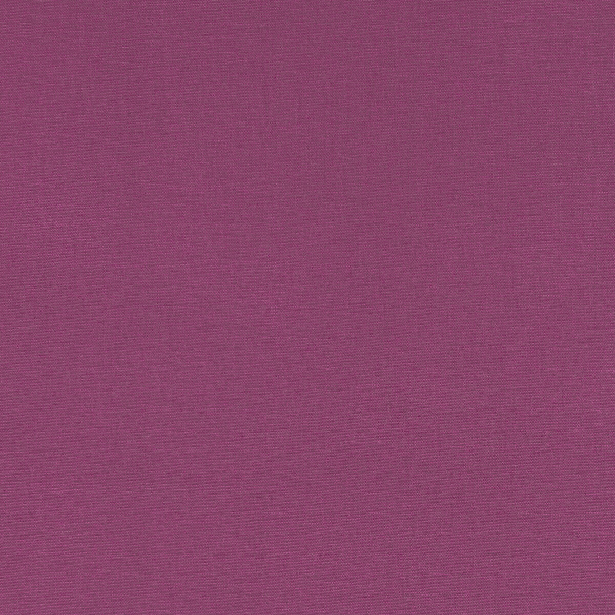 CLARKE AND CLARKE ALORA MAGENTA