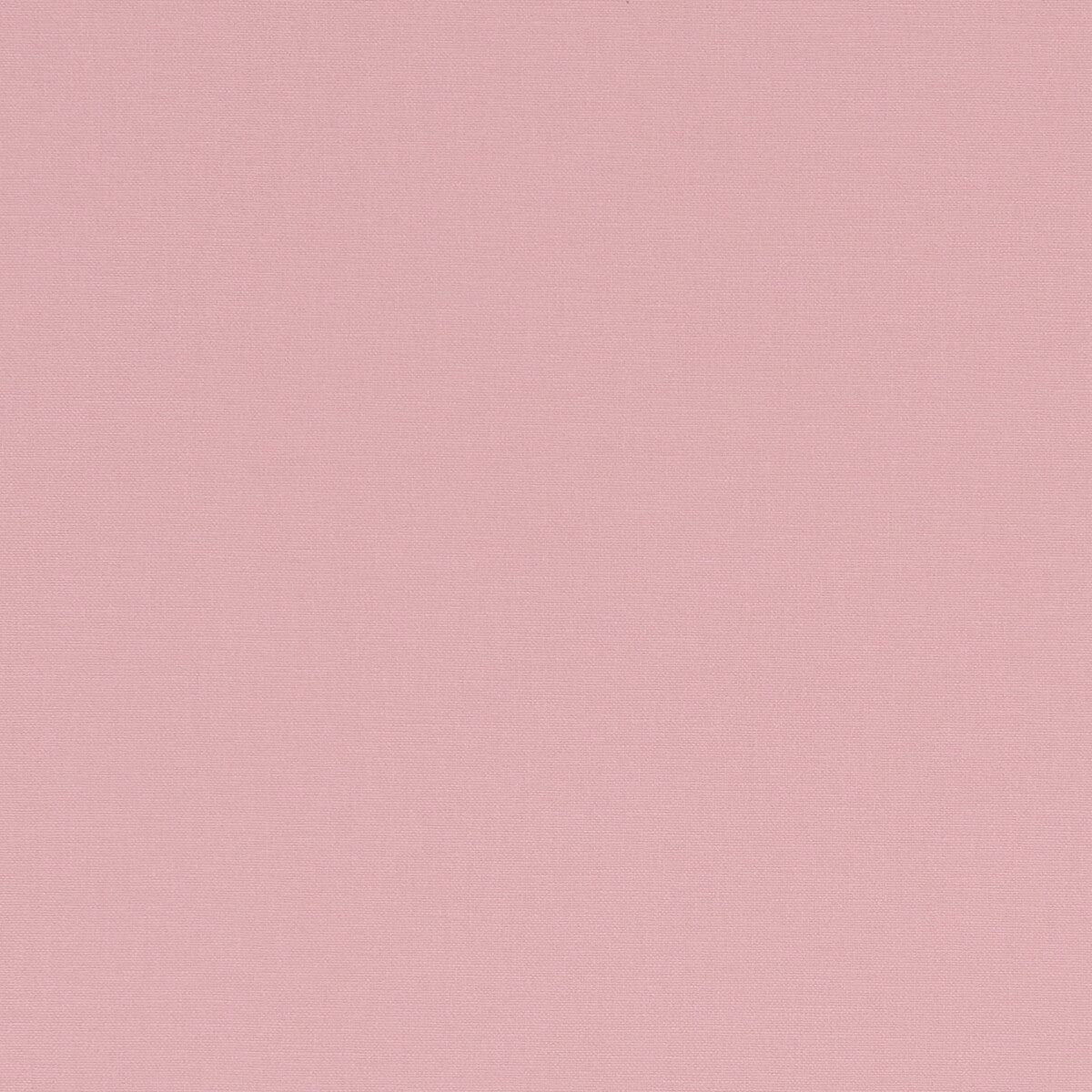 CLARKE AND CLARKE ALORA PINK