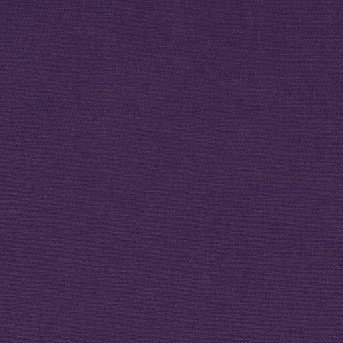 CLARKE AND CLARKE ALORA PLUM