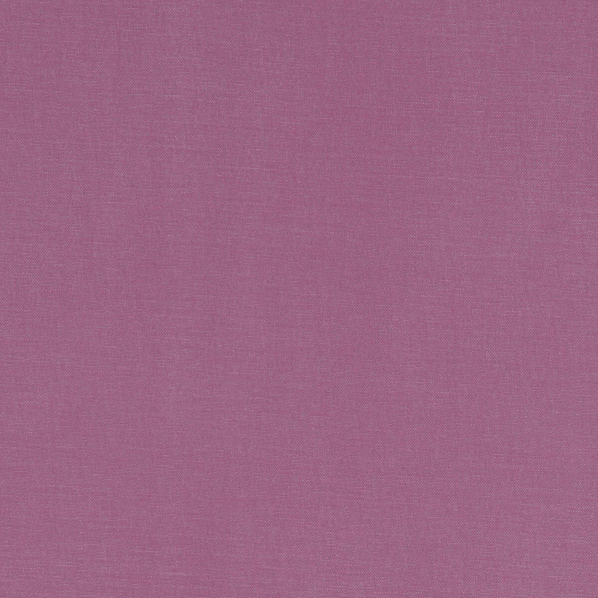 CLARKE AND CLARKE ALORA SORBET