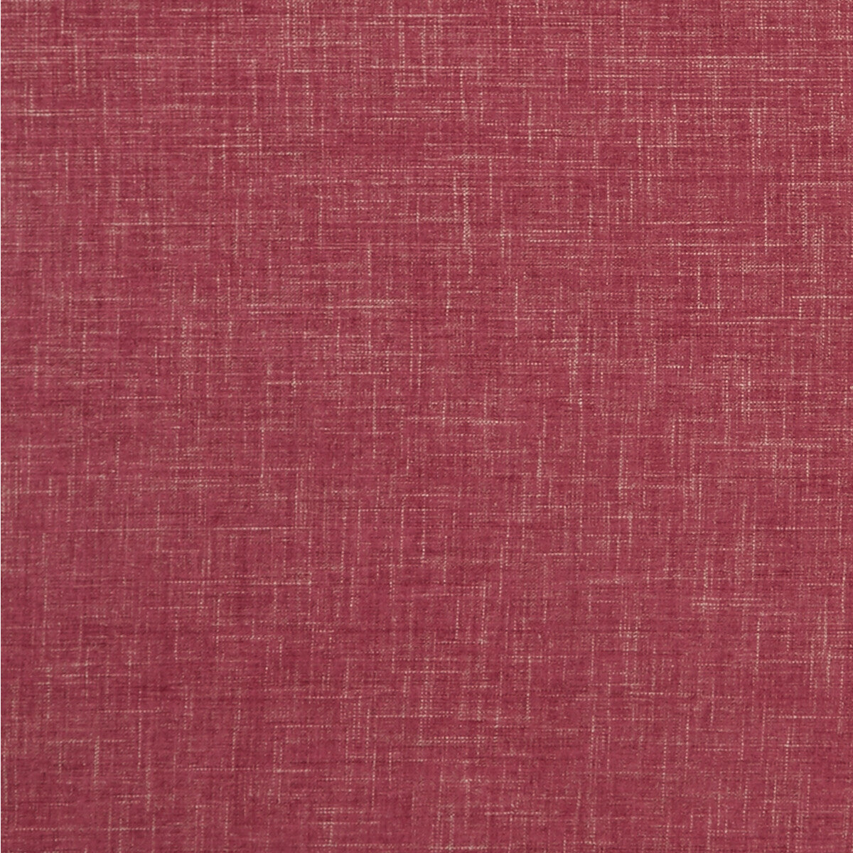 CLARKE AND CLARKE ALBANY RASPBERRY