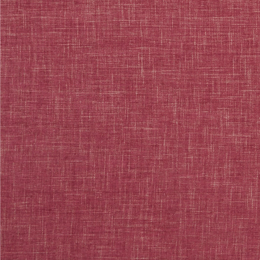 CLARKE AND CLARKE ALBANY RASPBERRY