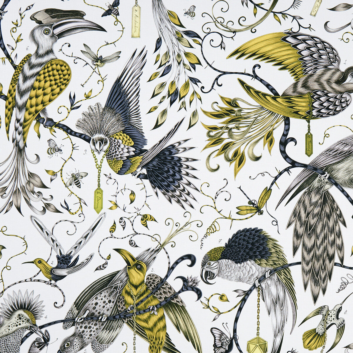 CLARKE AND CLARKE AUDUBON GOLD