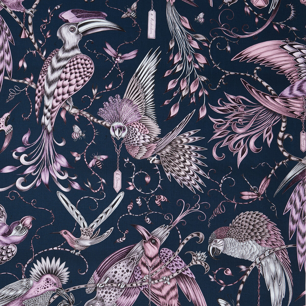 CLARKE AND CLARKE AUDUBON PINK