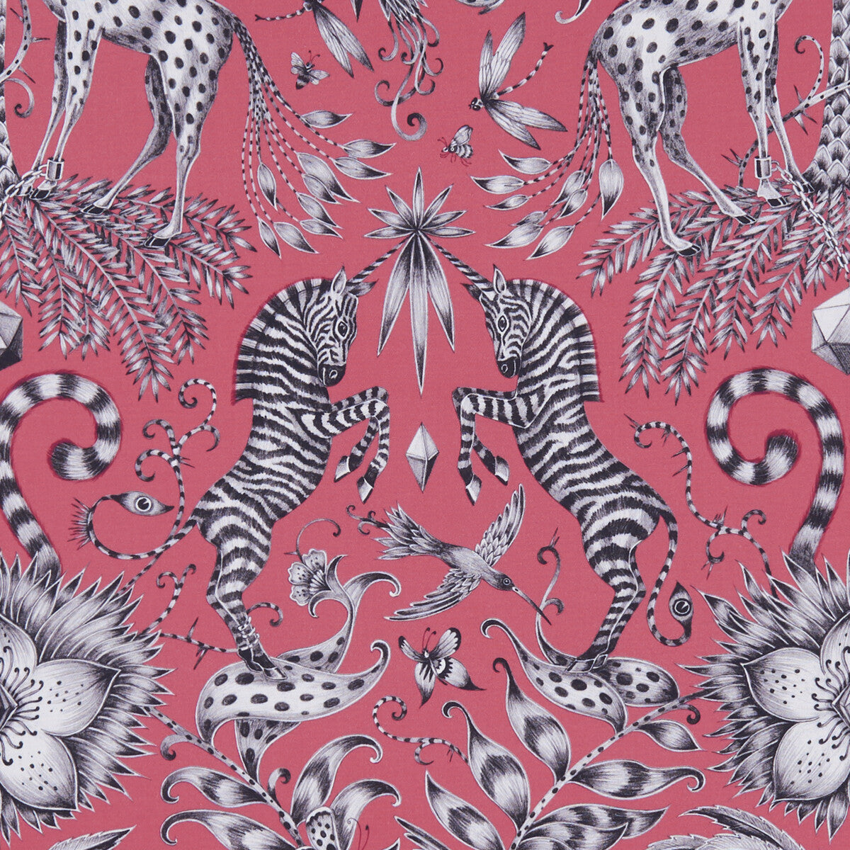 CLARKE AND CLARKE KRUGER MAGENTA