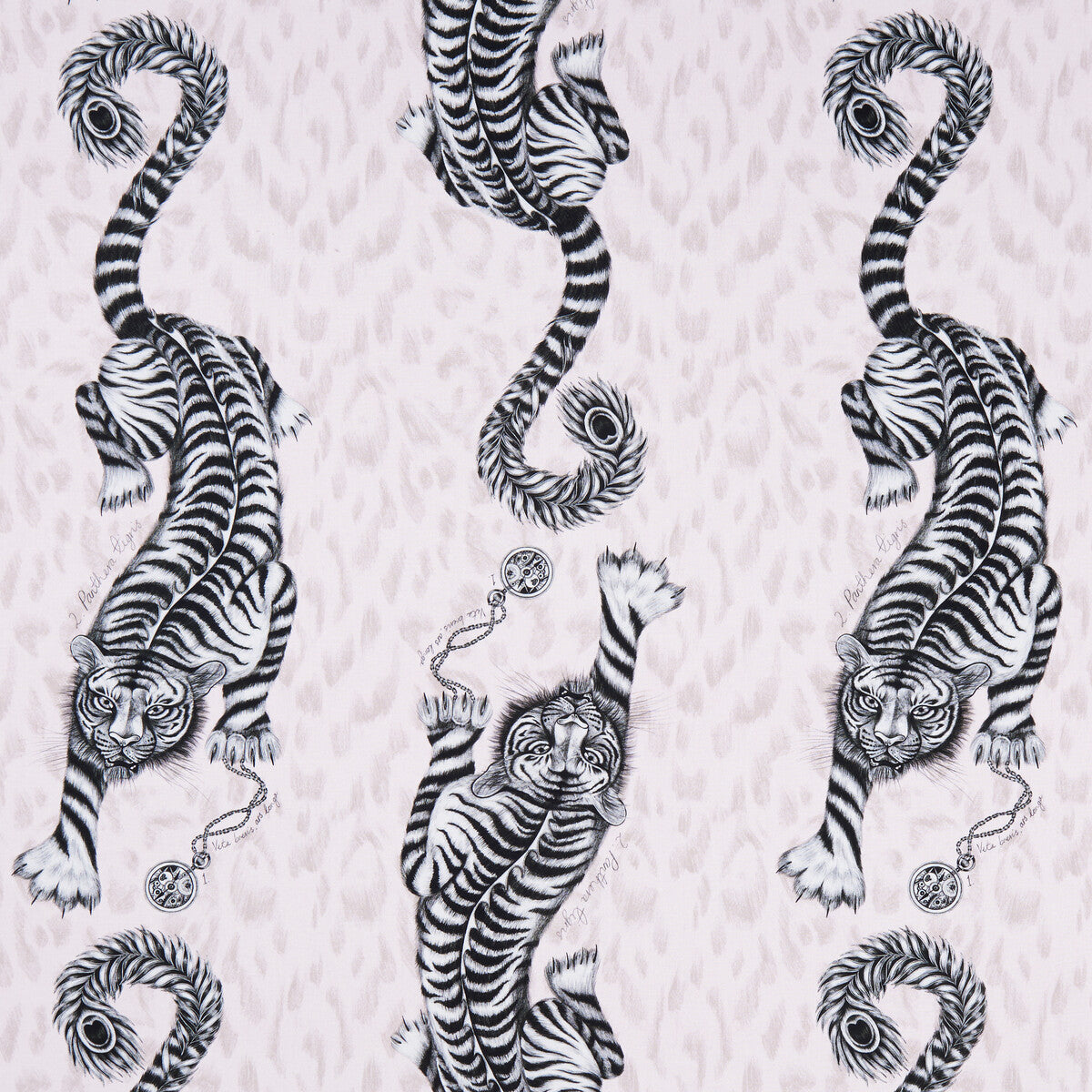 CLARKE AND CLARKE TIGRIS PINK