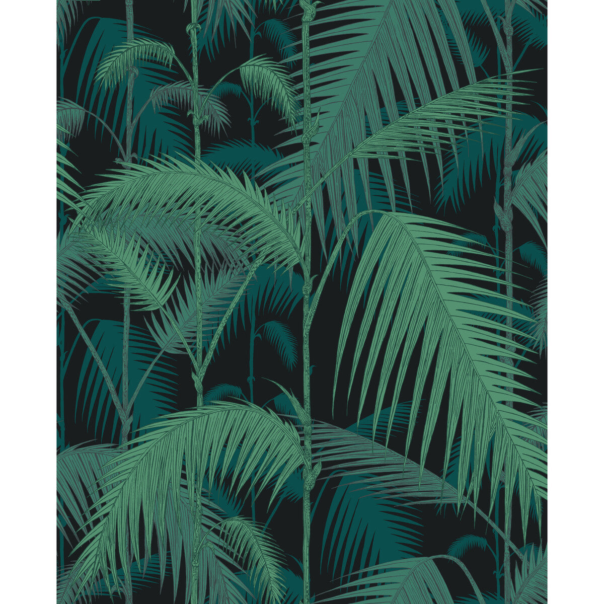 COLE & SON PALM JUNGLE VELVET PRINT VIRI/PET ON BLK
