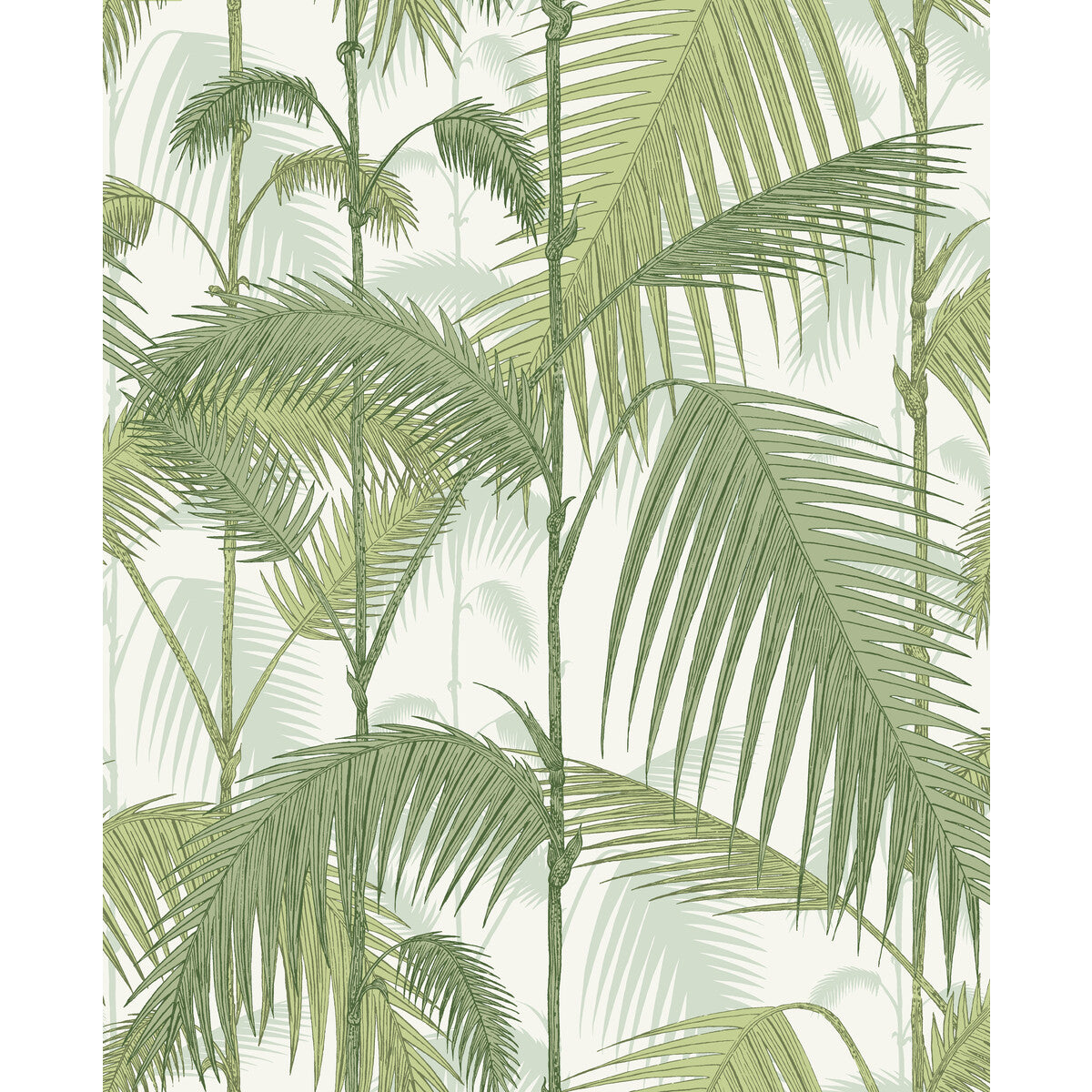 COLE & SON PALM JUNGLE COT/LIN PRINT OLV GRN ON WHT