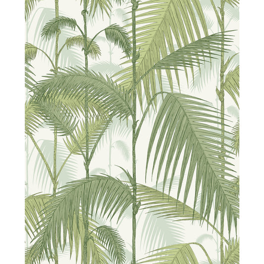 COLE & SON PALM JUNGLE COT/LIN PRINT OLV GRN ON WHT