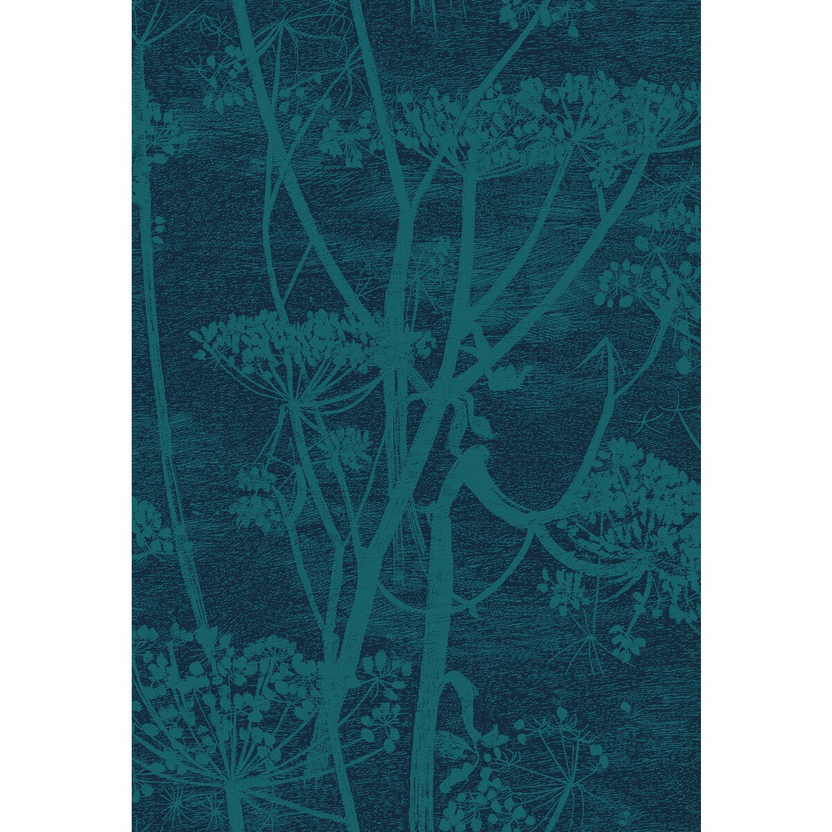 COLE & SON COW PARSLEY PRINT PETROL/INK