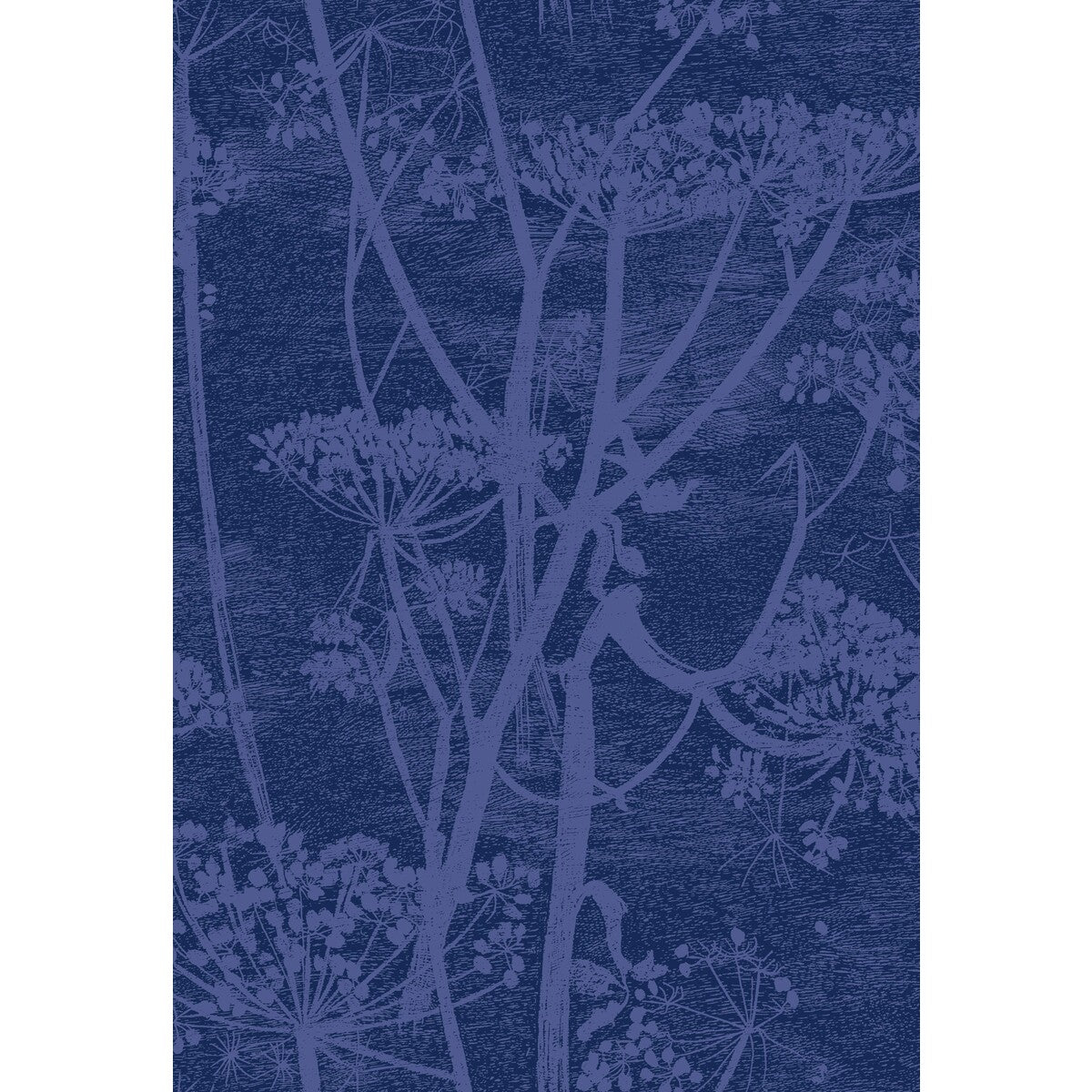 COLE & SON COW PARSLEY PRINT HYACINTH/INK